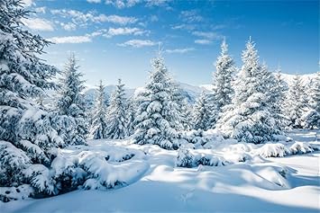 Amazon Com Aofoto 15x10ft Snowy Scenery Backdrop Forest Snow Tree Photography Background Winter Snowfield Landscape Snow Covered Fir Pine Tree Outdoor Sky Christmas New Year Photo Studio Props Vinyl Wallpaper Camera Amazon Com Aofoto 15x10ft Snowy Scenery Backdrop Forest Snow Tree Photography Background Winter Snowfield Landscape Snow Covered Fir Pine Tree Outdoor Sky Christmas New Year Photo Studio Props Vinyl Wallpaper Camera