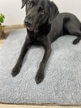 SOUL DESTINY Vet Bedding 3m x 75cm Grey Whelping Fleece view 6