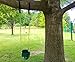 Shazo UPDATED Tree Hanging Kit Holds