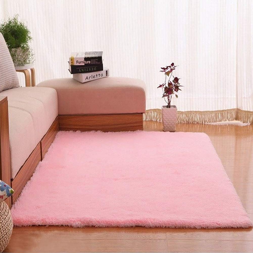 SJD Soft Fluffy Rugs Anti-Skid Shaggy Area Rug Home Floor Carpet mats