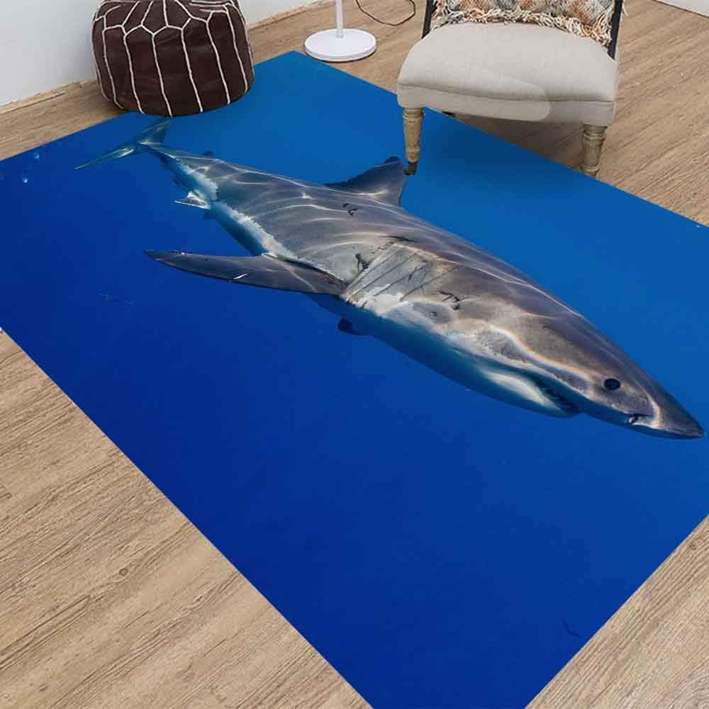 Area Rugs,Jesmacti Rug Multi-Style Modern Interior Decoration Rug,Super Soft and Comfortable Rug, Great White Shark South Africa Suitable for Living Room Bedroom Kindergarten Dormitory (5X7 Feet)
