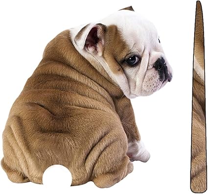 Téléchargement gratuit Images Amazon Fr Delicacydex Kawaii Bande Dessinee Drole Demenagement actualisé salutations