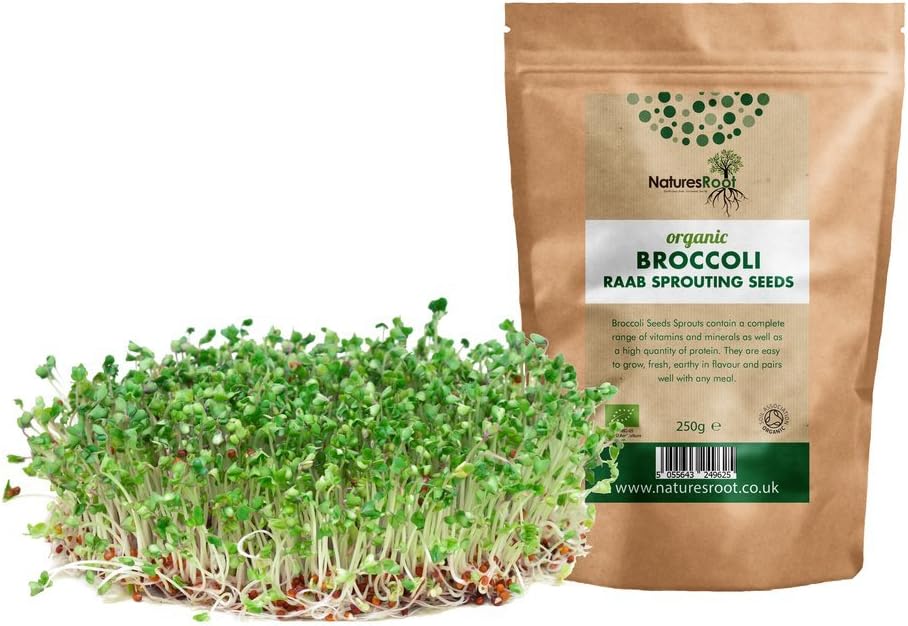 Natures Root Organic Broccoli Sprouting Seeds 250g - Superfood - Image 5