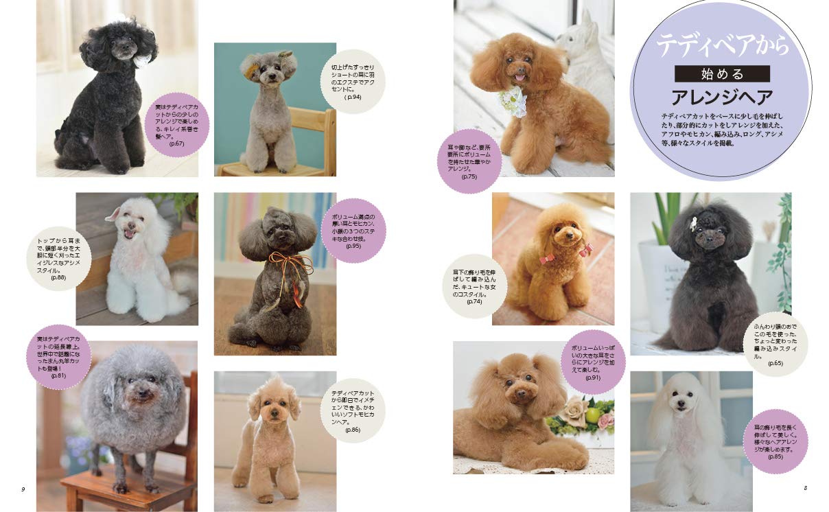 プードル ペットカット Collection 究極テディベアカットと そのアレンジ編 土居聖和 本 通販 Amazon