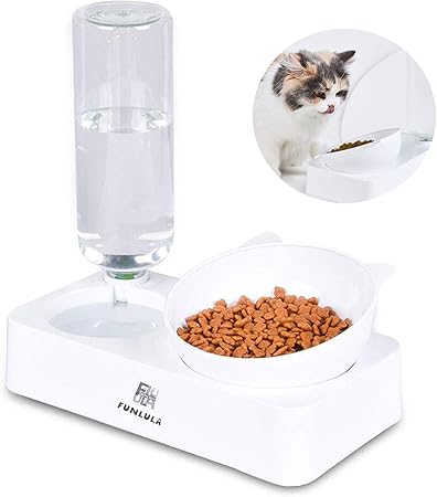 no bowl cat feeder amazon