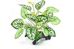 MRTIOO Reptile Artificial Plants, Terrarium Plants Decorations Supplies, Amphibian Habitat Hideout Tank Accessories, Rainforest Ground Plant