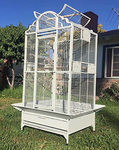 New Large Play Dome Top Wrought Iron Bird Parrot Parttot Finch Macaw Cockatoo Cage Including Stand, Seed Guard and Play Top Stand (WhiteVein)