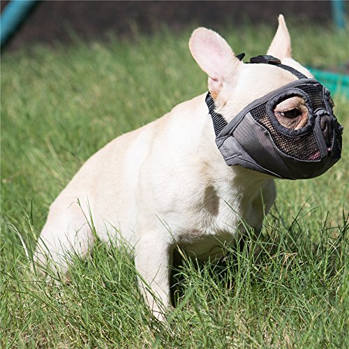 JYHY Short Snout Dog Muzzle Adjustable Breathable Mesh Bulldog Muzzle