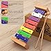Xylophone for Kids Ages 5-9, Xylophone for Toddlers 1-3 and 3-5, Glockenspiel Kids Musical Instruments & Toddler Instrument Set - Child-Safe and Well-Crafted Classic 5in1 Musical Toys for Toddlers 1-3
