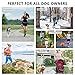Hands Free Dog Leash for Running Walking Jogging Training Hiking, Retractable Bungee Dog Running Waist Leash for Medium to Large Dogs, Adjustable Waist Belt with Pack, Reflective Stitches, Dual Handle