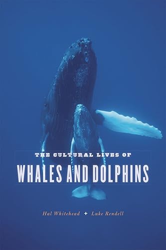 Download The Cultural Lives of Whales and Dolphins PDF
