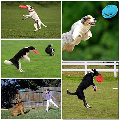 Legendog 2 Pcs Flying Disc, Squeaky Rubber Dog Toys Soft Flying Disc Dog Catcher Toy for Pet Training & Chewing - Thumbnail 7