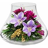 Luxury Orchid Arrangement | Preserved Orchids in Glass Vase | Long-Lasting Flowers for Anniversary, Wedding, or Corporate Gifts