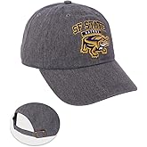 Desert Cactus San Francisco State University Baseball Hat SFSU Gators Brimmed Embroidered Cap Adjustable Cloth Strap Adult (Style A) Grey