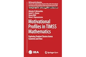 Motivational Profiles in TIMSS Mathematics: Exploring Student Clusters Across Countries and Time (IEA Research for Education 