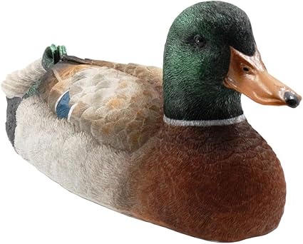 remote control duck boat