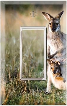 kangaroo baby rocker