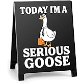 Today I'm A Serious Goose Funny Desk Decor Black Acrylic Office Tabletop Sign Christmas Gift for Coworkers Friends Home Workspace Cubicle Desk Decoration for Work Humor Daily Smile Motivation