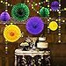 Decor365 Gold Purple Green Mardi Gras Party Decorations Glitter Circle Garlands Banner Hanging Paper Fan Tissue Pompoms Fat Tuesday Mardi Gras Birthday Bachelorette Bridal Cavinal Party Decor