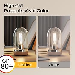 Linkind Edison Light Bulbs Dimmable, 60W Equivalent