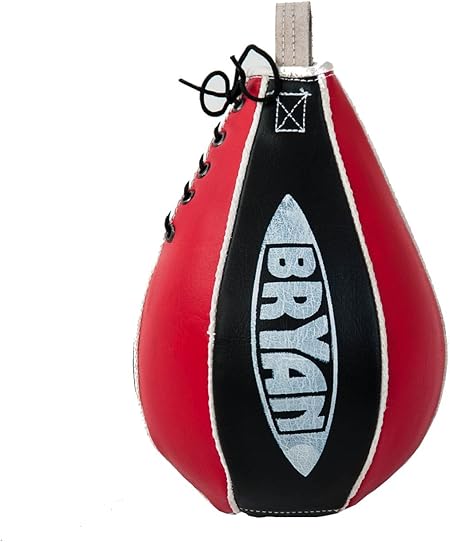 bryan punch bag