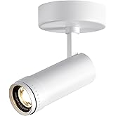 LED Spot Lights Indoor, 20W Zoomable Surface Mount Ceiling Spotlight, White | 3000K Dimmable Directional Adjustable Beam 10&deg;-60&deg; Accent Light for Wall Art, Picture, Gallery, Corridor, CRI 98, 2000lm