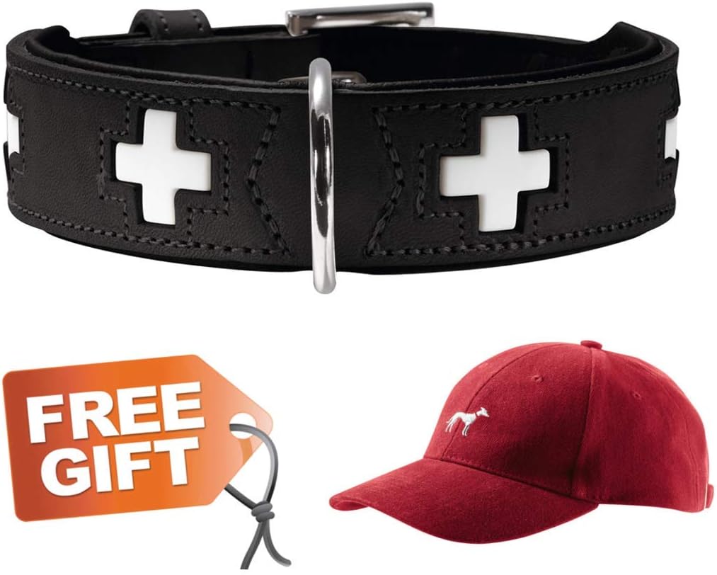 swiss leather dog collar