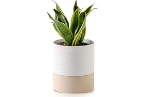 Nihow Self Watering Plant Pot: 6 Inch Ceramic Planter with Drainage Hole & Water Storage Plus for Indoor & Outdoor Plants - Cylinder Round Flower Pot for Succulent/Herbs/Violets - White & Brown