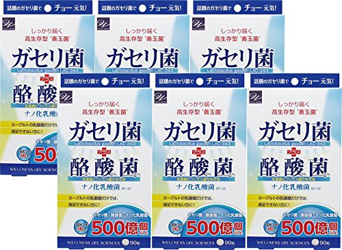 B076t4t326 6個セット ガセリ菌 酪酸菌 90粒 乳酸菌 人気特価 Trakstartractor Com