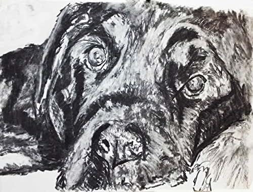 Amazon.com: Labrador, Labrador Gift Charcoal Wall Art, Black Lab