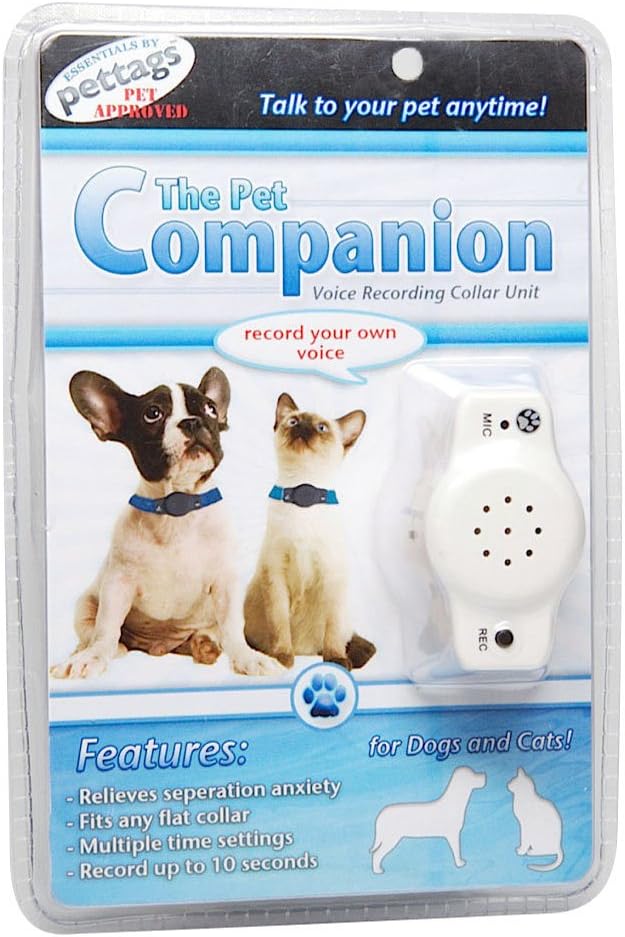 different types of australian cattle dogs