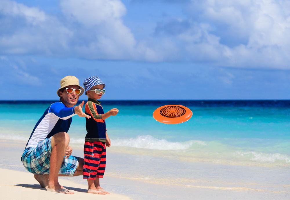 Ultimate 175 Gram Flying Disc - Professional Foldable Sporting Throw and Catch Disc Outdoor Play Beach Leisure Toy for Kids and Adults - Fun Game for Summer