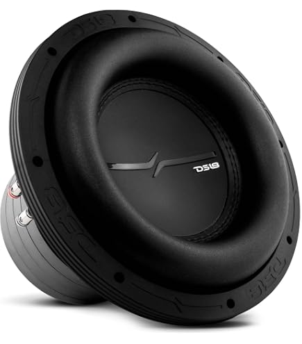 Amazon.com: Arc Audio X2 10D2 10” 2 Ohm Subwoofer : Electronics