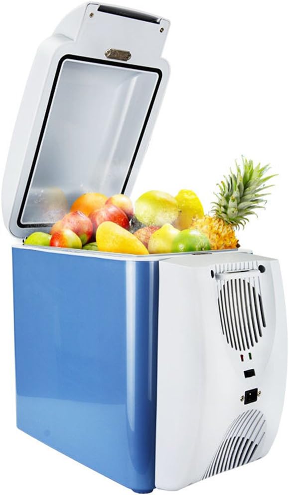 The 10 Best 7 Liter Car Refrigerator