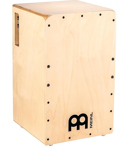 Amazon.com: PSC100NT : Musical Instruments