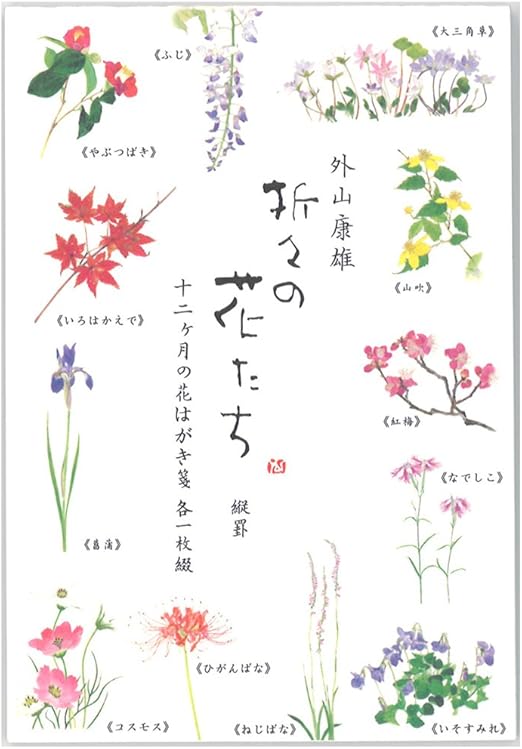 Amazon 表現社 はがき箋 縦書き 12柄 12枚 美濃和紙 折々の花 十二ヶ月の花 24ー221 文房具 オフィス用品 文房具 オフィス用品