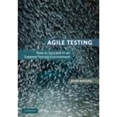 Agile Testing: How to Succeed in an Extreme Testing Environment