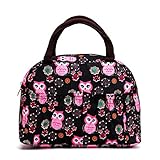 Reusable Fashion Lunch Bag for Women Cute Zipper Lunch Tote Bag Light Picnic Lunch Container , Owl