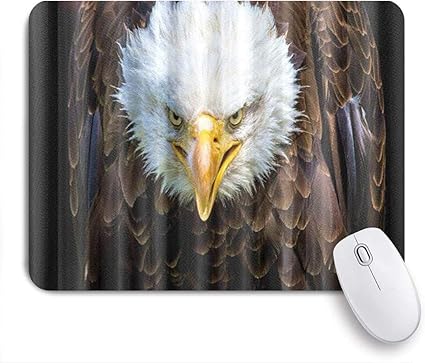 Amazon Ninehasa 可愛いマウスパッド 動物の白頭ワシ ノンスリップゴムバッキングコンピューターマウスパッドノートブックマウスマット Ninehasa マウスパッド 通販