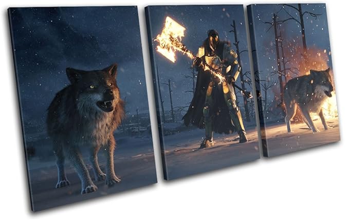 Bold Bloc Design - Destiny Rise of Iron XBOX ONE PS4 Gaming 150x75cm TREBLE Leinwand Kunstdruck Box gerahmte Bild Wand hangen