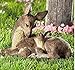 OTC Deer Doe and Fawn Lying Outdoor Garden Statue