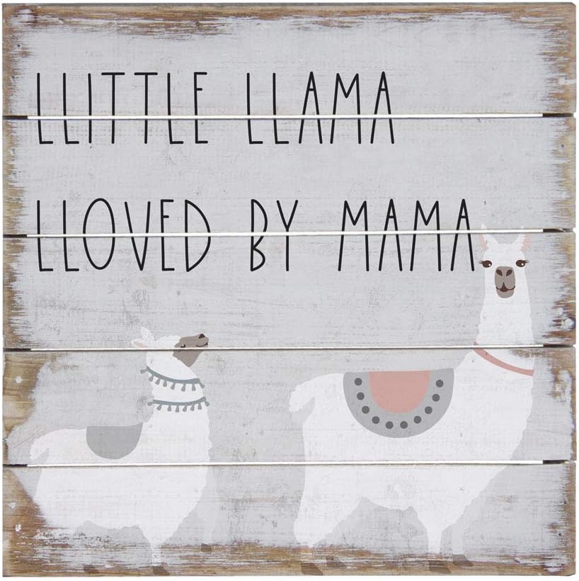 The 10 Best Home Decor Llama