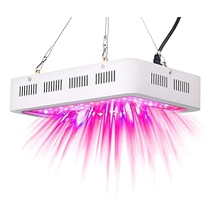 Les 13 meilleurs 600 Watt LED élèvent la lumière [2019] 5