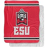 LOGOVISION East Stroudsburg University of