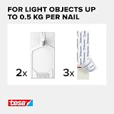tesa Adhesive Nail for Wallpaper & Plaster 0.5kg - 2 Pack Picture Hanger No view 3