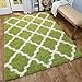 Maxy Home Shag Area Rug, New Moroccan Trellis Green, Everyday Use, 5' x 7' (60 inch x 84 inch)