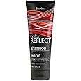 ShiKai Color Reflect Warm Shampoo (8 oz) | Make Red & Auburn Highlights Shine Brighter | Plant Based Moisturizing Hair Cleanser