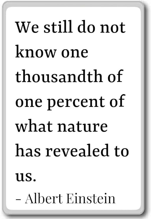 Imán para nevera con cita de Albert Einstein, con texto en inglés ...