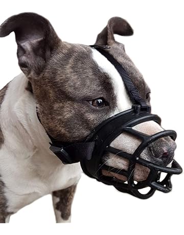 pitbull muzzles amazon