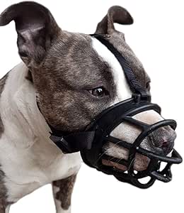 mesh muzzle petsmart